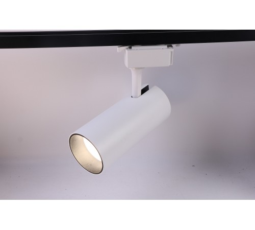 Светильник на штанге Эра TR5-30 COB WH