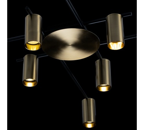 Потолочная люстра Loft it 8120C-8 Tribes