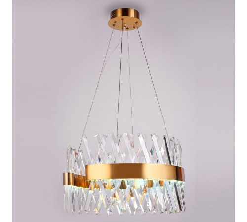 Подвесной светильник Ambrella Light TR5309 TR