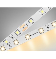 Лента светодиодная Ambrella Light GS3001 GS