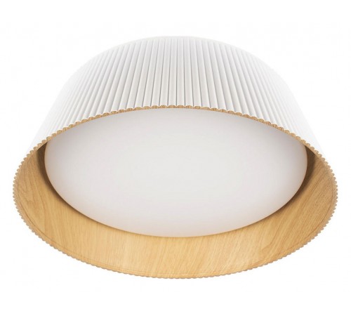 Накладной светильник Loft it 10224 White Evans