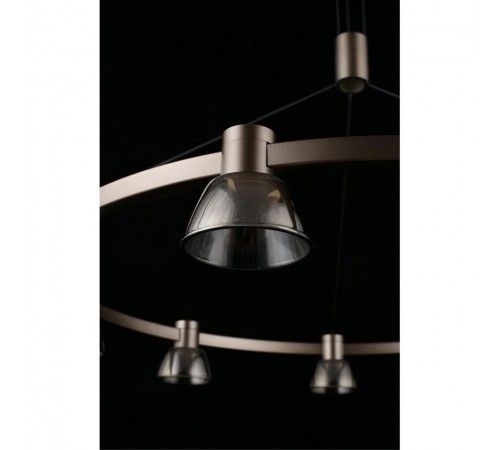 Подвесная люстра Aployt APL.788.03.09 Rezeda