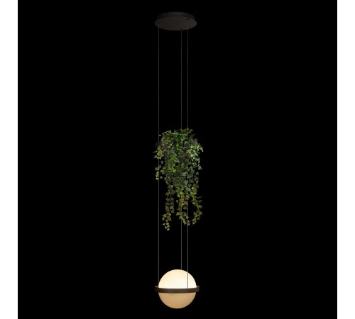 Подвесной светильник Loft it 10121/1P Dark grey Jardin