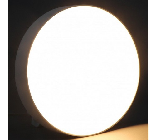 Накладной светильник iLedex 5551-36W-D212-3/4/6K-WH Mercury