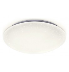 Накладной светильник Ambrella Light FF41 FF