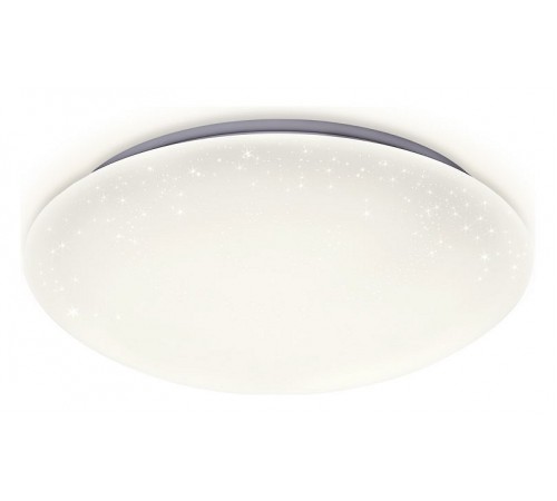 Накладной светильник Ambrella Light FF41 FF