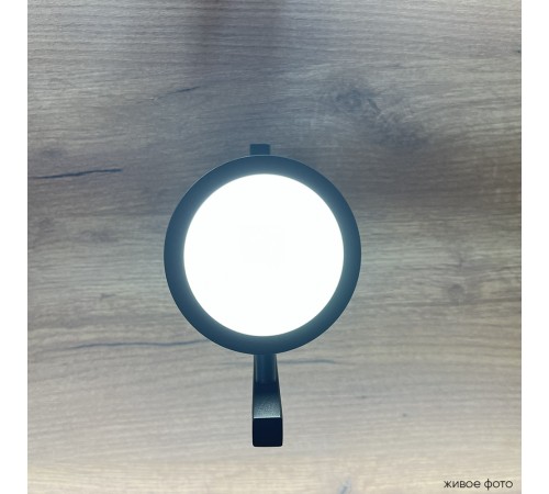 Бра Crystal Lux CLT 027W V2 BL