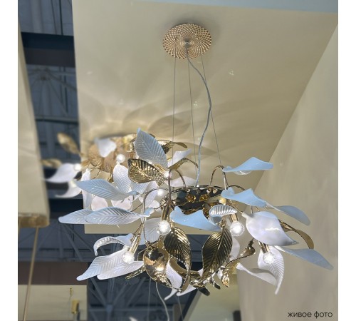 Люстра Crystal Lux STEFANIA SP6R