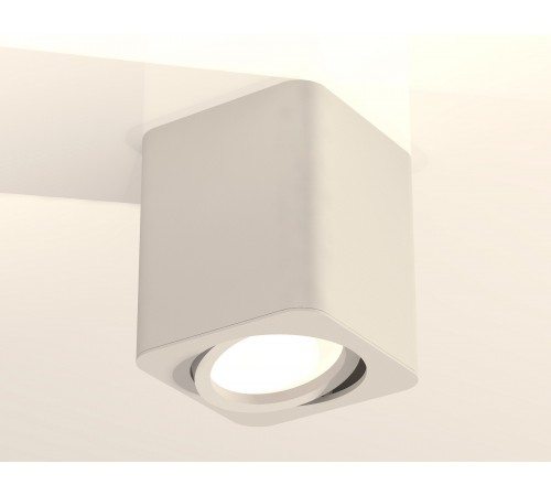 Накладной светильник Ambrella Light XS7812010 XS