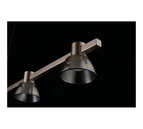 Подвесной светильник Aployt APL.788.03.06 Rezeda