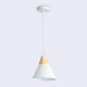 Подвесной светильник Ambrella Light TR8195 TR