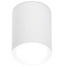 Накладной светильник Ambrella Light TN215 TN