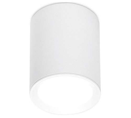 Накладной светильник Ambrella Light TN215 TN