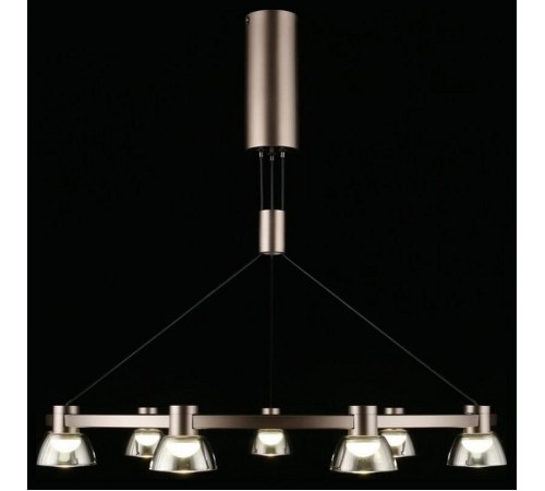 Подвесная люстра Aployt APL.788.03.09 Rezeda