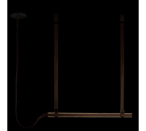 Подвесной светильник Loft it 10241/1200 Strong