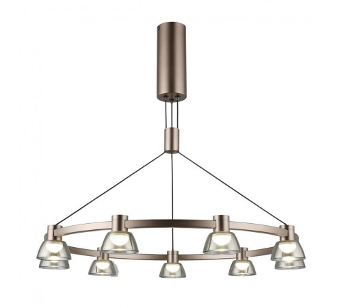 Подвесная люстра Aployt APL.788.03.09 Rezeda