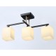 Люстра на штанге Ambrella Light TR303114 TR