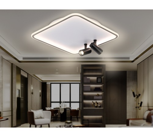 Накладной светильник Ambrella Light FL5115 FL