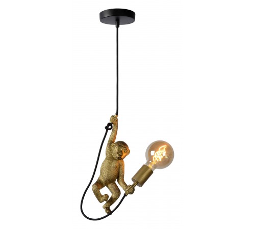 Подвесной светильник Lucide 10402/01/30 Extravaganza Chimp
