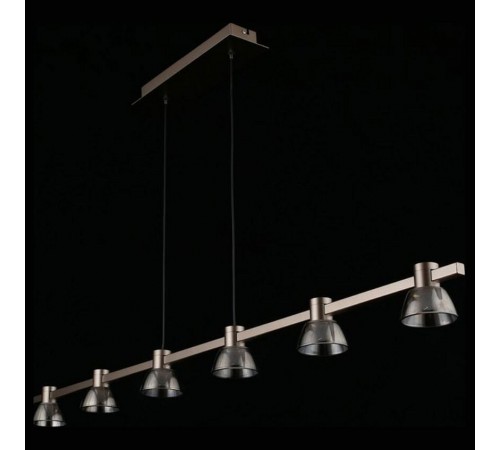 Подвесной светильник Aployt APL.788.03.06 Rezeda