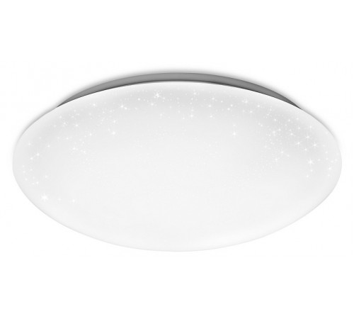 Накладной светильник Ambrella Light FF41 FF