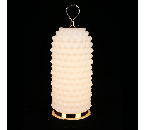 Настольная лампа декоративная Aployt APL.332.04.10 Ozeynn