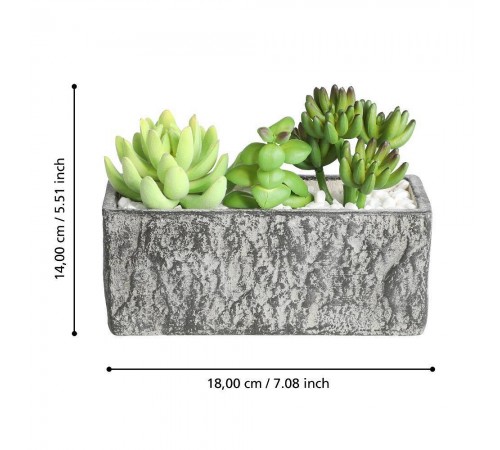 Растение в горшке (178x75x145) Chitose 428009