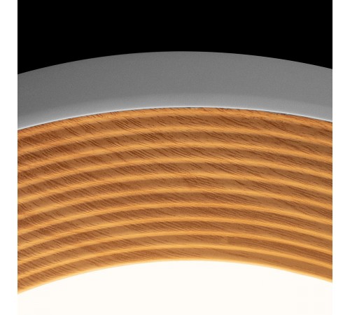 Накладной светильник Loft it 10255/500 White Folk