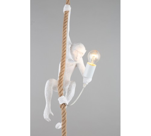 Подвесной светильник Aployt APL.309.06.01 Magali