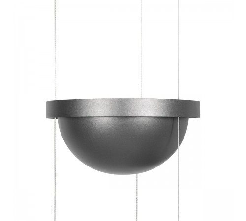 Подвесной светильник Loft it 10121/1P Dark grey Jardin
