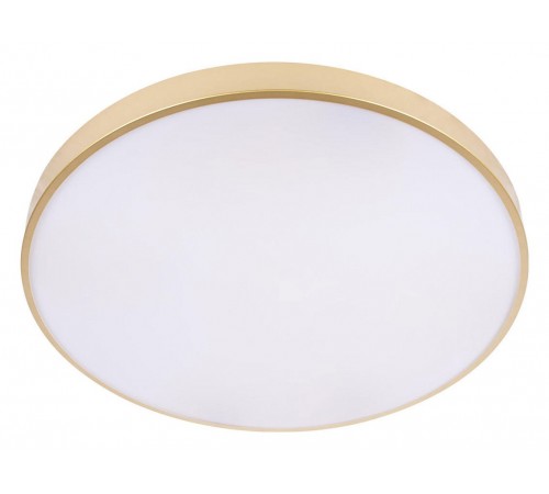 Накладной светильник Loft it 10228/B Flims