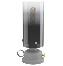 Настольная лампа декоративная Eglo 43929 Gargrave