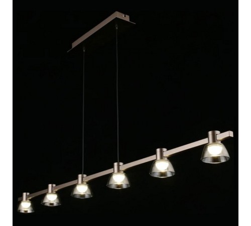 Подвесной светильник Aployt APL.788.03.06 Rezeda