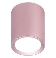 Накладной светильник Ambrella Light TN217 TN