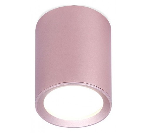 Накладной светильник Ambrella Light TN217 TN