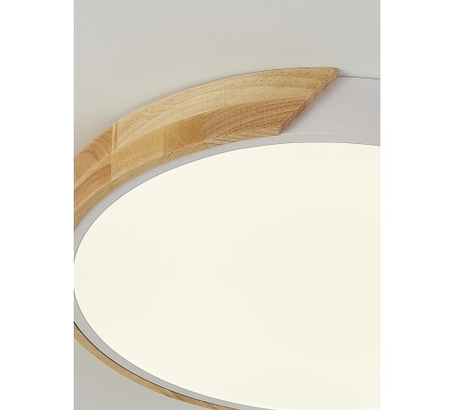 Накладной светильник Natali Kovaltseva LED LAMPS 81181 Scandinavian