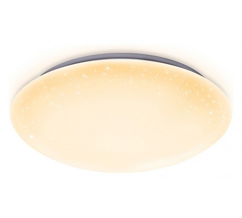 Накладной светильник Ambrella Light FF41 FF