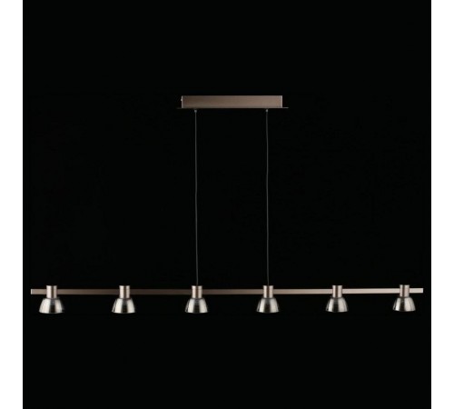 Подвесной светильник Aployt APL.788.03.06 Rezeda