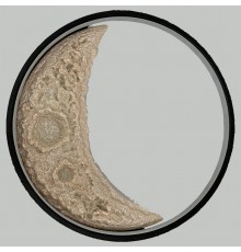 Бра Alfa-Light F0324-40 F0324