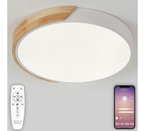 Накладной светильник Natali Kovaltseva LED LAMPS 81181 Scandinavian