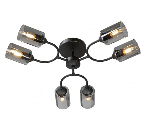 Потолочная люстра Vitaluce V2823-1/6PL V2823