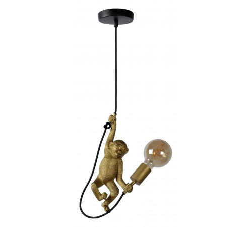 Подвесной светильник Lucide 10402/01/30 Extravaganza Chimp