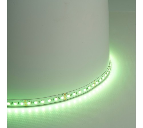 Лента светодиодная Feron 51823 LS501