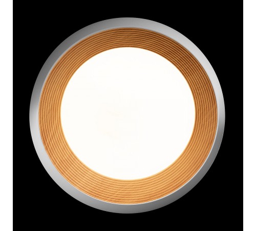 Накладной светильник Loft it 10255/500 White Folk