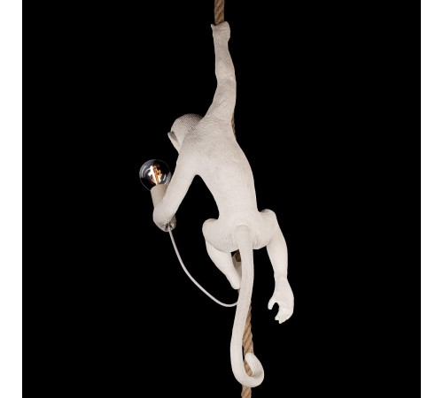 Подвесной светильник Loft it 10314P Monkey