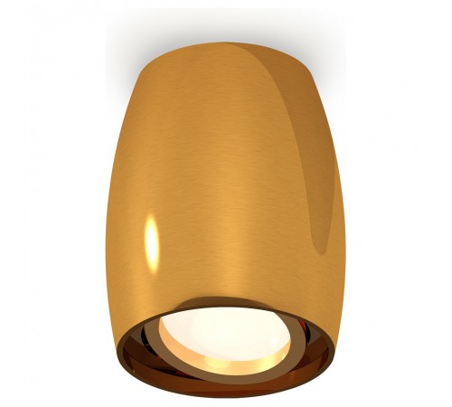 Накладной светильник Ambrella Light XS1125001 XS