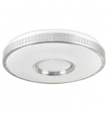 Накладной светильник Ambrella Light FF82 FF