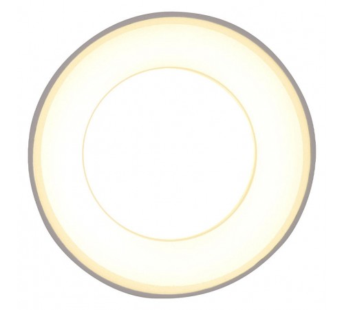 Накладной светильник Ambrella Light TN3411 TN