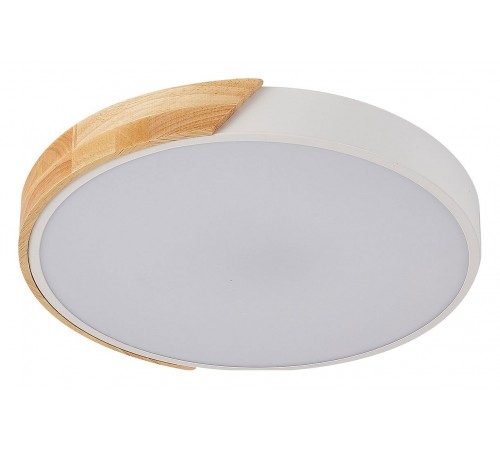 Накладной светильник Natali Kovaltseva LED LAMPS 81181 Scandinavian