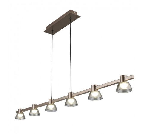 Подвесной светильник Aployt APL.788.03.06 Rezeda